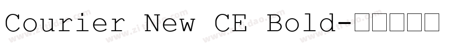 Courier New CE Bold字体转换
